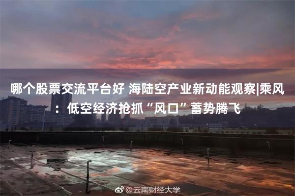 哪个股票交流平台好 海陆空产业新动能观察|乘风：低空经济抢抓“风口”蓄势腾飞