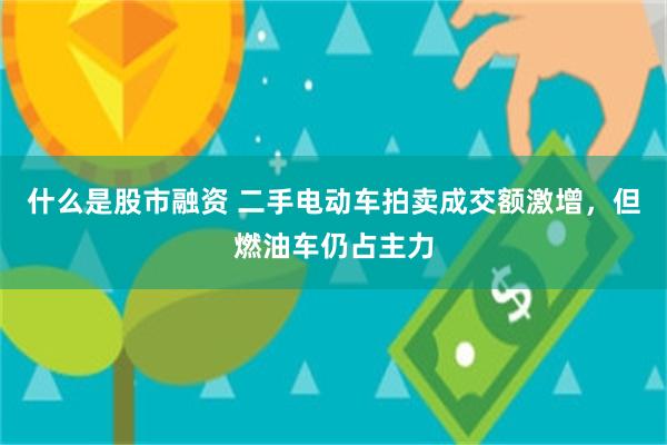 什么是股市融资 二手电动车拍卖成交额激增，但燃油车仍占主力
