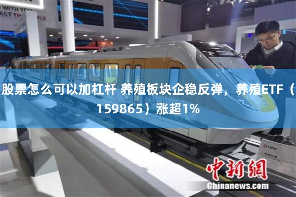 股票怎么可以加杠杆 养殖板块企稳反弹，养殖ETF（159865）涨超1%