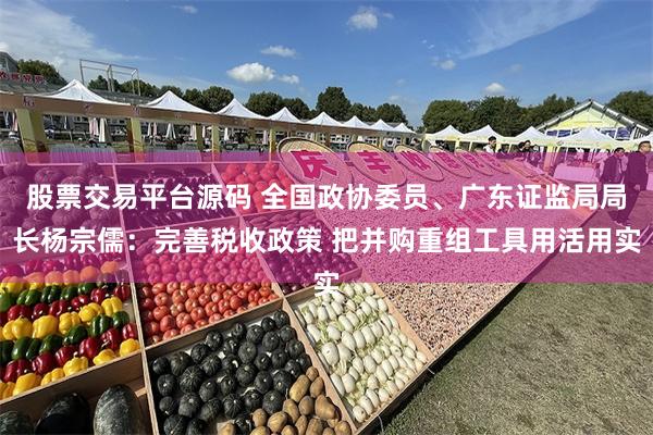 股票交易平台源码 全国政协委员、广东证监局局长杨宗儒：完善税收政策 把并购重组工具用活用实
