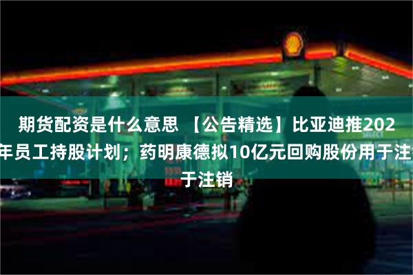 期货配资是什么意思 【公告精选】比亚迪推2025年员工持股计划；药明康德拟10亿元回购股份用于注销