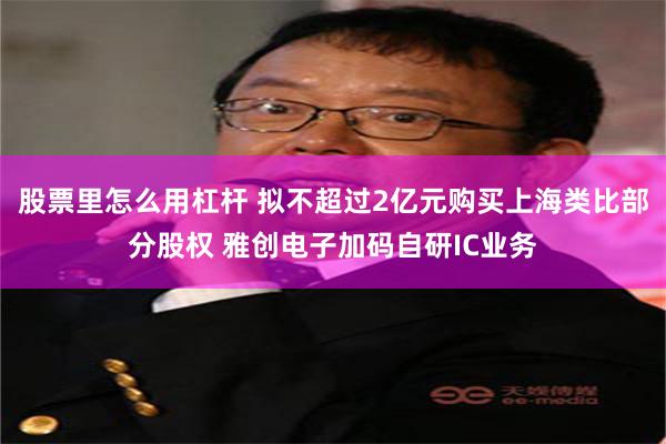 股票里怎么用杠杆 拟不超过2亿元购买上海类比部分股权 雅创电子加码自研IC业务