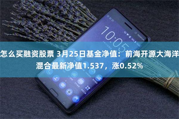 怎么买融资股票 3月25日基金净值：前海开源大海洋混合最新净值1.537，涨0.52%