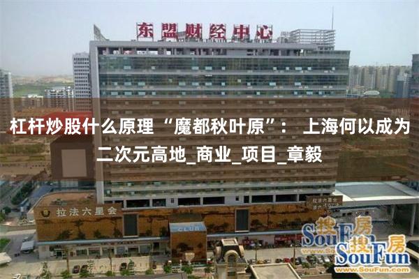 杠杆炒股什么原理 “魔都秋叶原”： 上海何以成为二次元高地_商业_项目_章毅