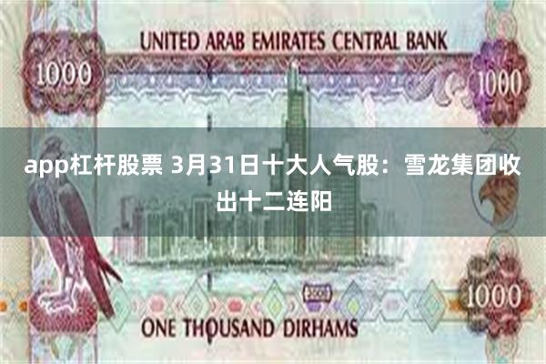 app杠杆股票 3月31日十大人气股：雪龙集团收出十二连阳