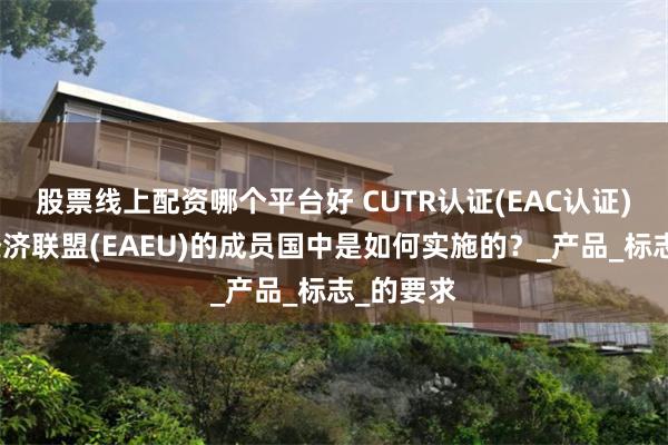 股票线上配资哪个平台好 CUTR认证(EAC认证)在欧亚经济联盟(EAEU)的成员国中是如何实施的？_产品_标志_的要求