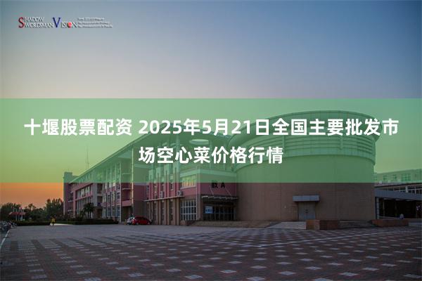 十堰股票配资 2025年5月21日全国主要批发市场空心菜价格行情