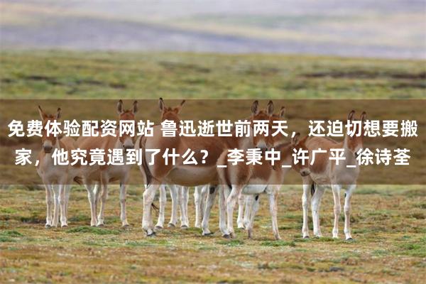 免费体验配资网站 鲁迅逝世前两天，还迫切想要搬家，他究竟遇到了什么？_李秉中_许广平_徐诗荃