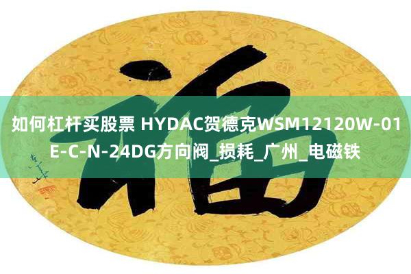 如何杠杆买股票 HYDAC贺德克WSM12120W-01E-C-N-24DG方向阀_损耗_广州_电磁铁