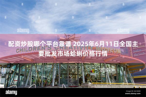 配资炒股哪个平台靠谱 2025年6月11日全国主要批发市场蛤蜊价格行情