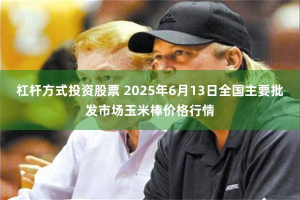 杠杆方式投资股票 2025年6月13日全国主要批发市场玉米棒价格行情