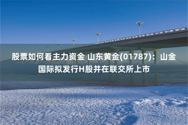 股票如何看主力资金 山东黄金(01787)：山金国际拟发行H股并在联交所上市